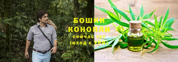 spice Алексеевка