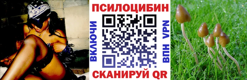 Псилоцибиновые грибы прущие грибы  Чаплыгин 